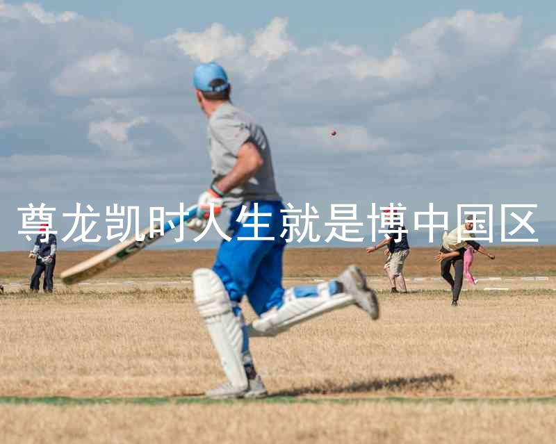 尊龙凯时人生就是博中国区