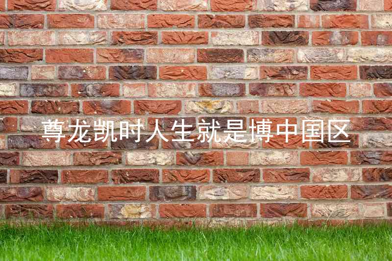 尊龙凯时人生就是博中国区